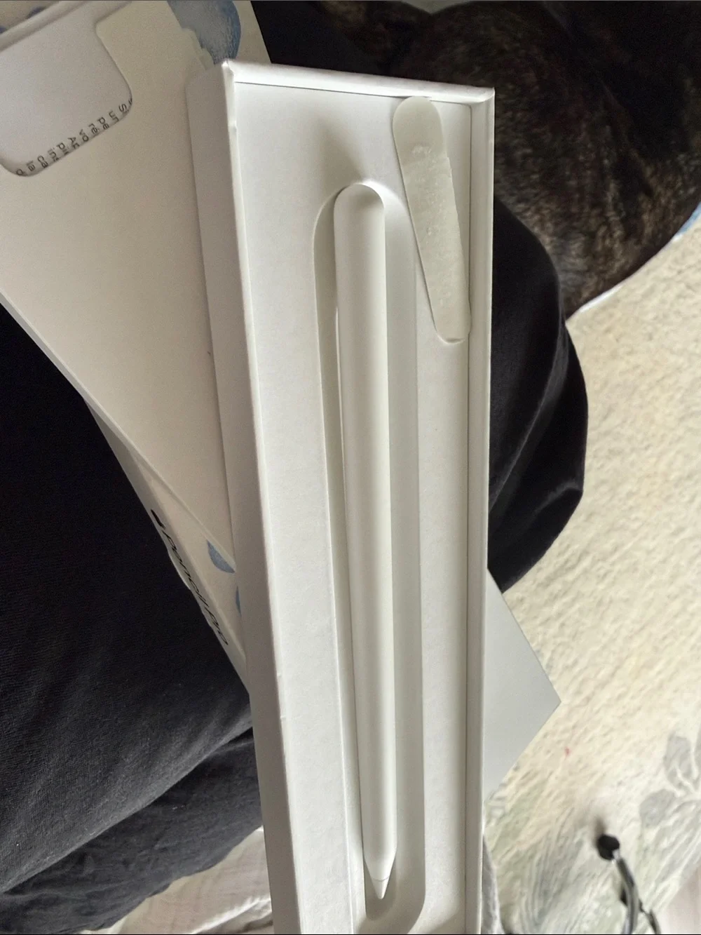 Apple Pencil Pro White